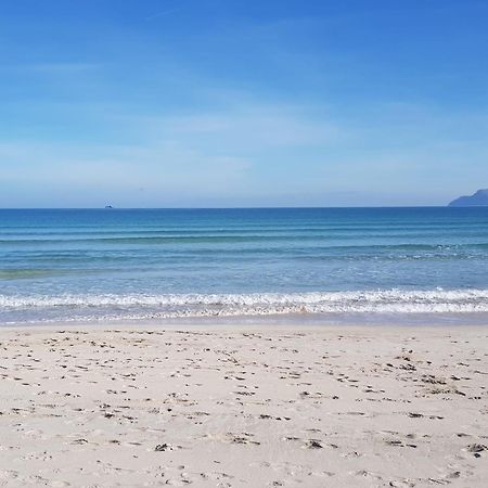 Ideal Property Mallorca - Sa Vinya Vella Alcudia  Zewnętrze zdjęcie