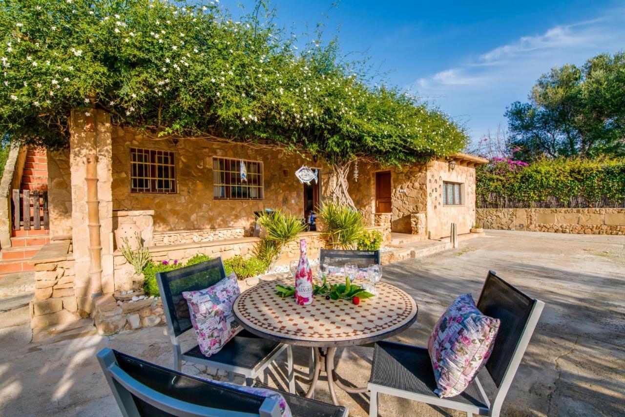 Ideal Property Mallorca - Sa Vinya Vella Alcudia  Zewnętrze zdjęcie